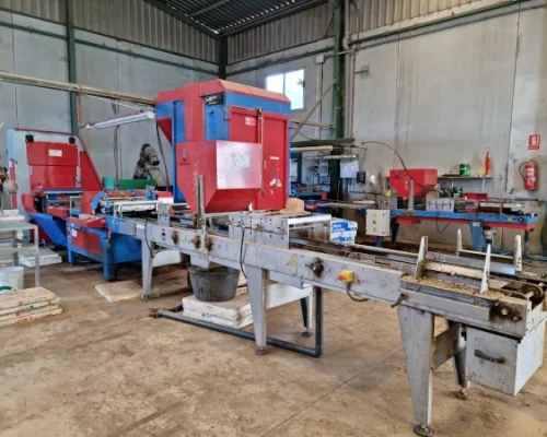 Madrid Semilleros -2