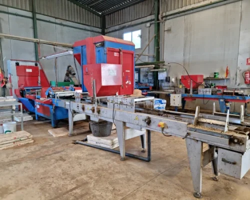 Madrid Semilleros -3