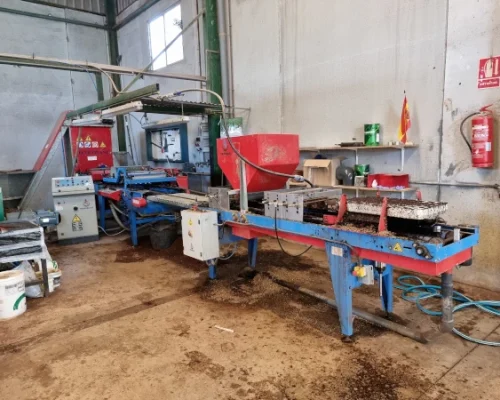 Madrid Semilleros -4